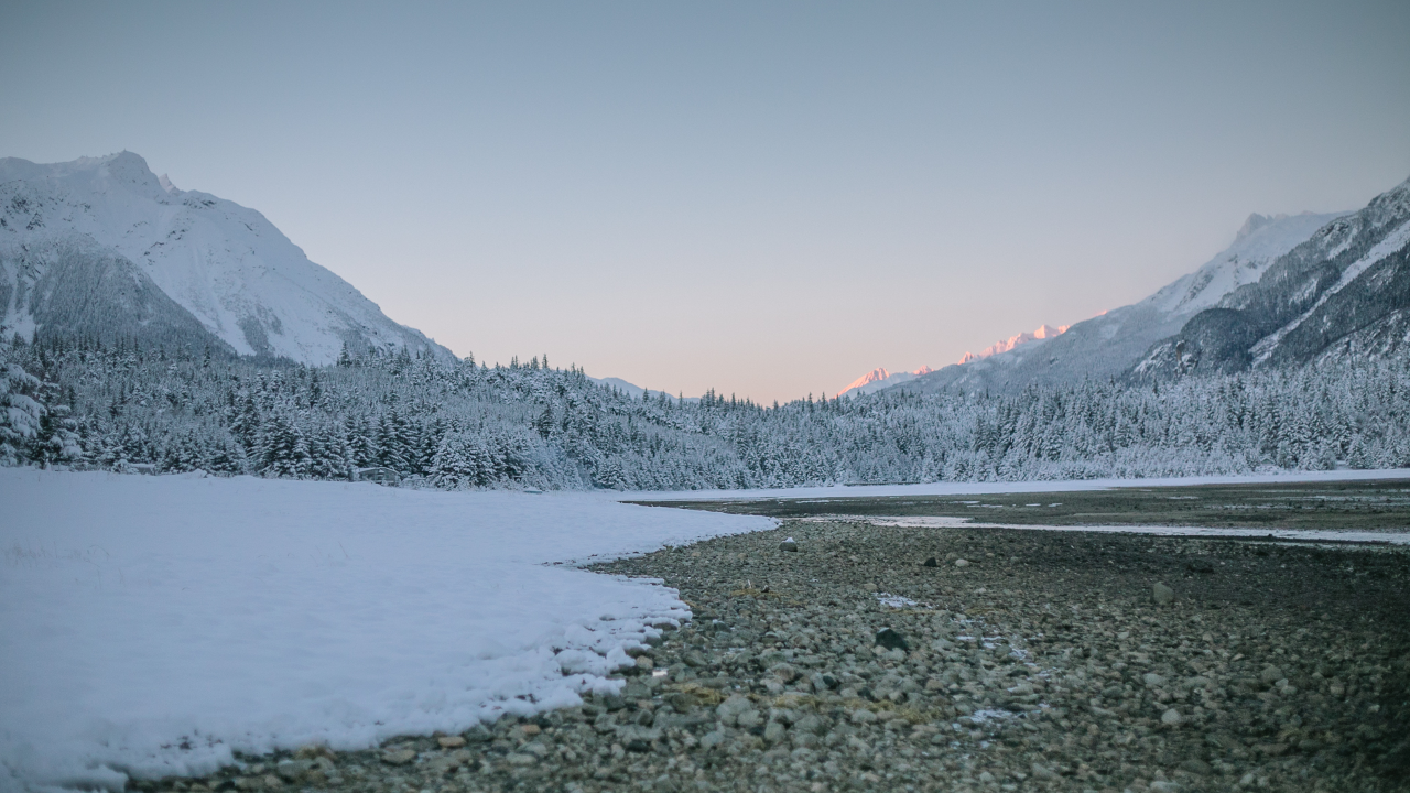 A stone-covered beach near Haines, Alaska.