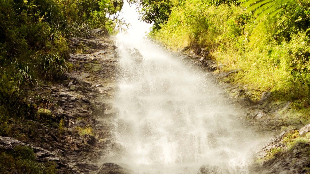 Manoa Falls. Photo by Getty Images