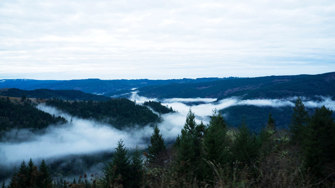 Klamath National Forest