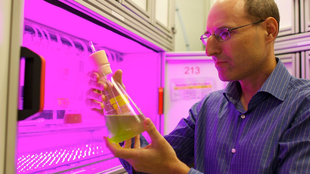 Scientifiques dans un laboratoire